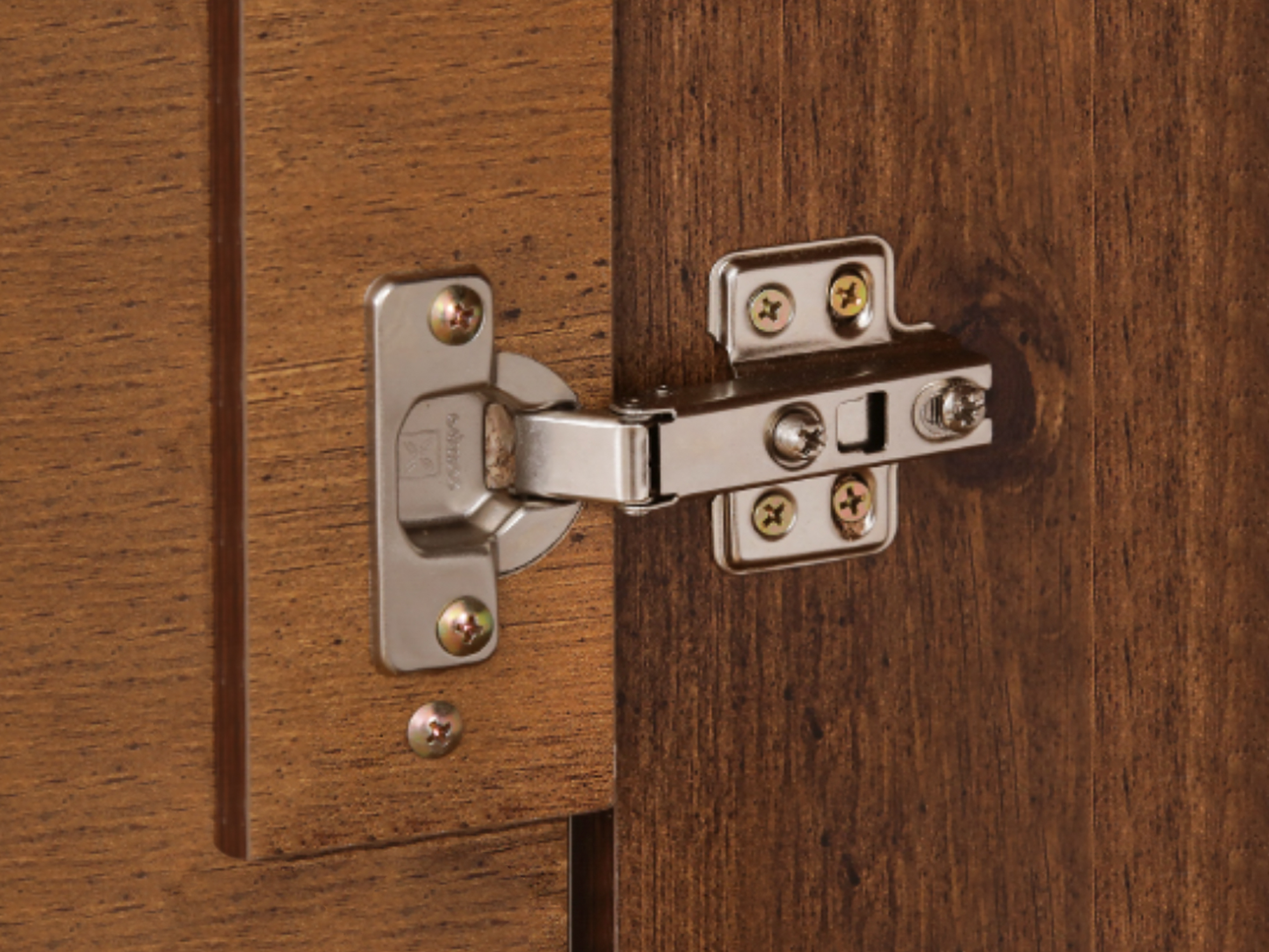 Ryan 2 Doors Shoes Cabinet (PO) Hinges