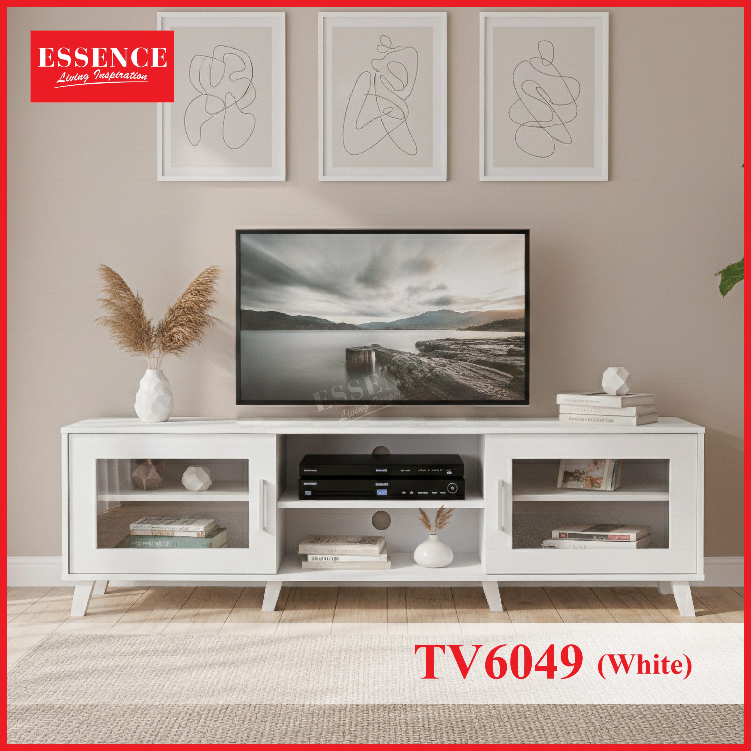 TV6049 (White) Model